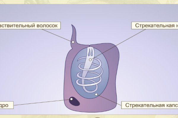 Кракен ссылка даркнет